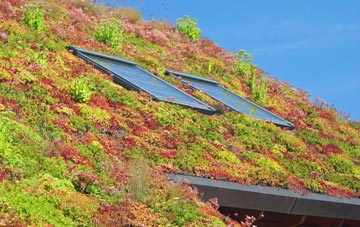 Markbeech living roof systems