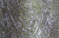 Markbeech fibreglass roof work